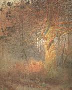 Emile Claus Tree in the Sun (nn02) oil painting picture wholesale